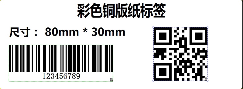 斑馬編輯軟件安裝